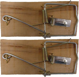 Mouse Trap Wooden 2 pce $2.50